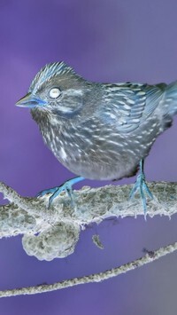 Negatyw