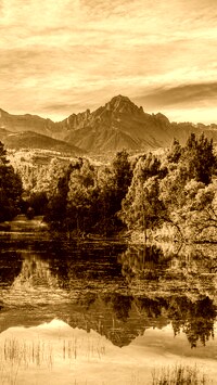 Sepia
