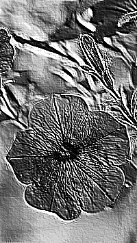 Skamielina