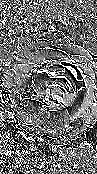 Skamielina