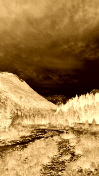 Sepia + Negatyw