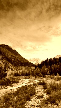 Sepia