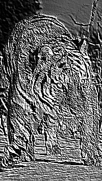 Skamielina