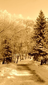 Sepia