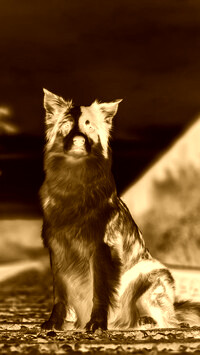 Sepia + Negatyw