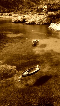 Sepia