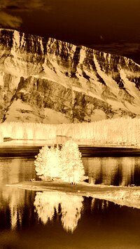 Sepia + Negatyw