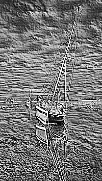 Skamielina