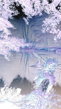 Negatyw