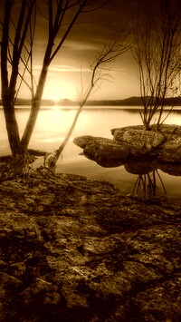 Sepia