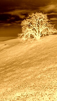 Sepia + Negatyw