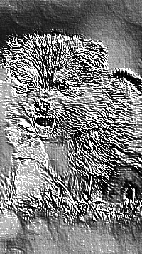 Skamielina
