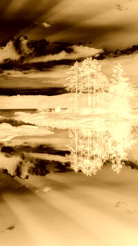 Sepia + Negatyw