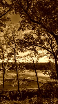 Sepia