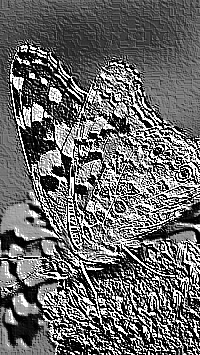 Skamielina