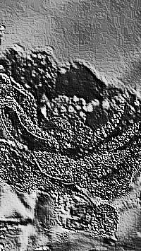 Skamielina