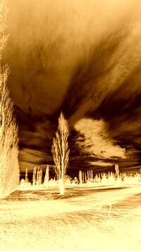 Sepia + Negatyw