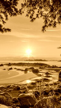 Sepia