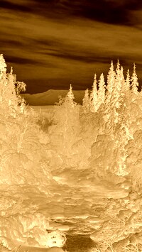 Sepia + Negatyw