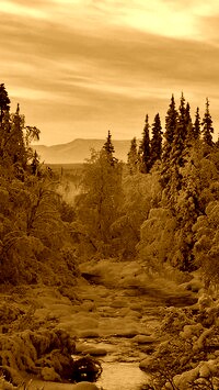 Sepia
