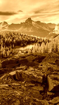Sepia
