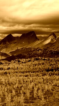 Sepia