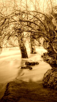 Sepia