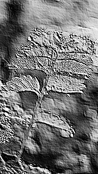 Skamielina