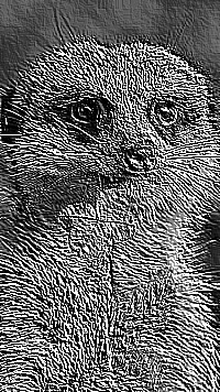 Skamielina