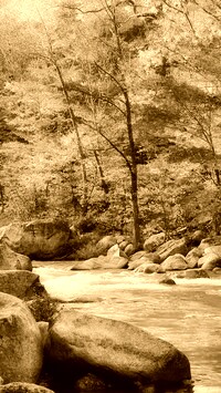 Sepia
