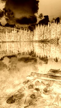 Sepia + Negatyw