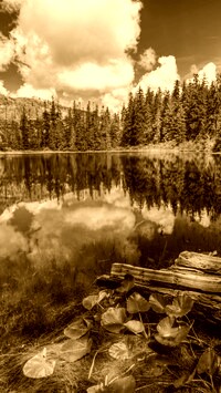Sepia