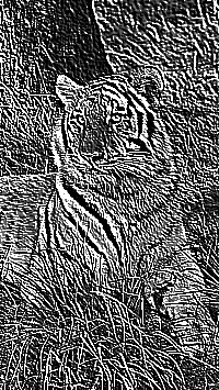 Skamielina