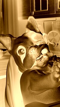 Sepia + Negatyw