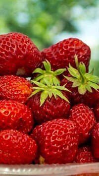 Oryginalny obrazek