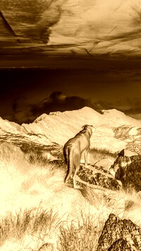 Sepia + Negatyw