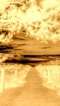 Sepia + Negatyw