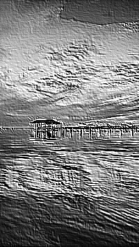 Skamielina