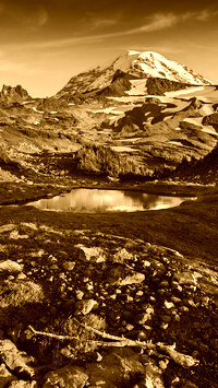 Sepia