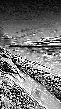 Skamielina