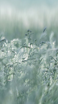 Oryginalny obrazek
