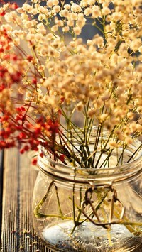 Oryginalny obrazek