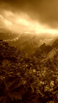 Sepia