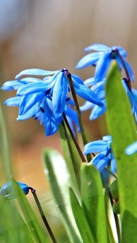 Oryginalny obrazek