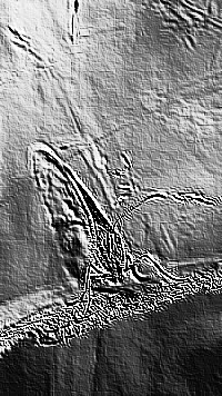 Skamielina