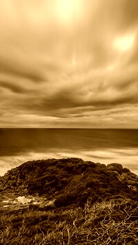 Sepia