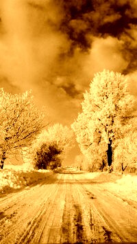 Sepia