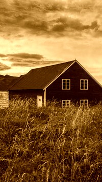 Sepia