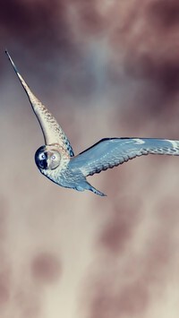 Negatyw