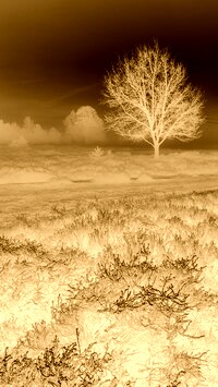 Sepia + Negatyw